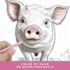 Cute Summer Animals Coloring Pages for Kids and Adults - Image 5